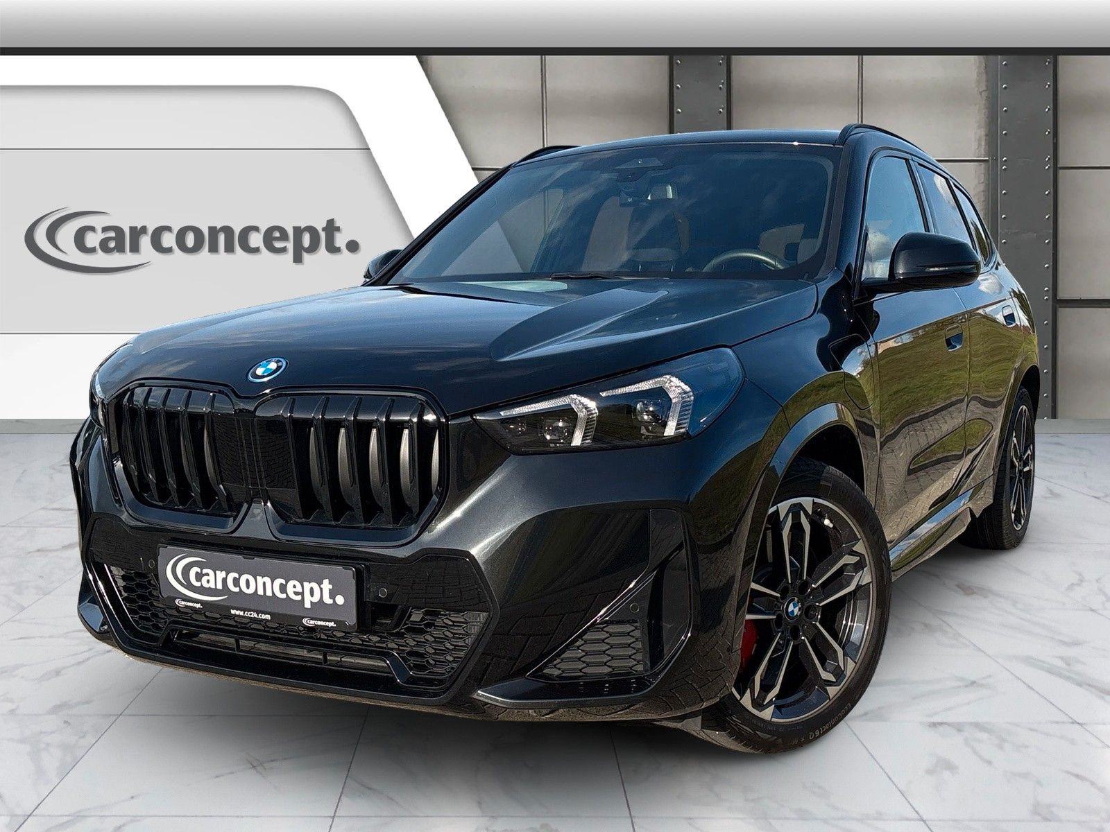 BMW X1 xDrive30e M Sport Pro*19*Pano*AHK*ACC*