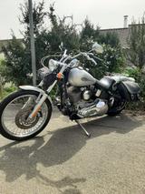 Harley-Davidson Softtail Twin Cam - HARLEY-DAVIDSON TWIN CAM
