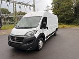 Fiat Ducato Maxi Grossr.Kasten35 140 - Fiat Kastenwagen hoch + lang Ducato maxi