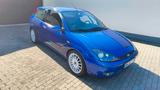 Ford Focus ST170 Tracktool Käfig - Ford Focus: ST 170