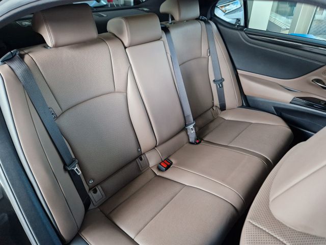 Lexus ES 300  h Busins – Line -Kamera – Bluetooth
