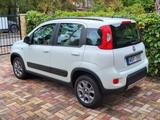 Fiat New Panda 1.3 16V Multijet 4X4 - Fiat New Panda: Kleinwagen