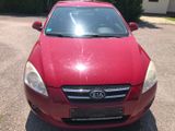 Kia cee'd / Ceed  neue Kette - Kia aus 2007: Cee D