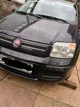 Fiat Panda zu verkaufen 2011 Baujahr fünf ... - Fiat Panda Gebrauchtwagen in Wuppertal