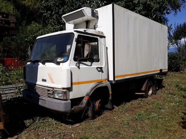 Altele iveco cella frigo