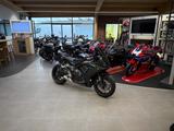 Honda CBR650R *Service und Reifen neu* - HONDA CB650R