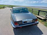 Jaguar Daimler - Jaguar Daimler von privat