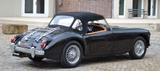 MGA 1600 Traumschön ! - MG MGA aus 1960: Roadster