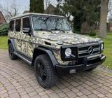 Mercedes-Benz J A G D A U S F Ü H R U N G  - gebrauchte Mercedes-Benz G 500 aus dem Jahr 2001