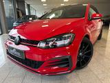 Volkswagen Golf VII GTI Performance Pano ACC Kamera Navi - gebrauchte Kleinwagen