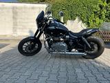 Triumph America