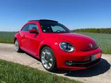 Volkswagen Beetle 1.2 TSI  Panoramadach, TÜV neu, Klimaaut. - Volkswagen Beetle in Dresden