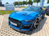Ford Mustang 2.3Eco Navi Leder LED Roush R-CAM - Ford: Roush