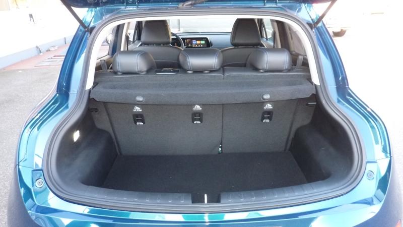 GWM ORA 03 300 PRO