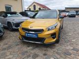 Kia XCeed 1.6 T-GDI OPF DCT7 LAUNCH EDITION - Kia XCeed Gebrauchtwagen
