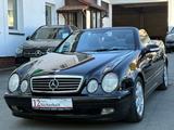 Mercedes-Benz CLK 320 CABRIO V6 AUT. AVANTGARDE - LEDER MEMORY - Mercedes-Benz aus 2000: Cabrio, Clk