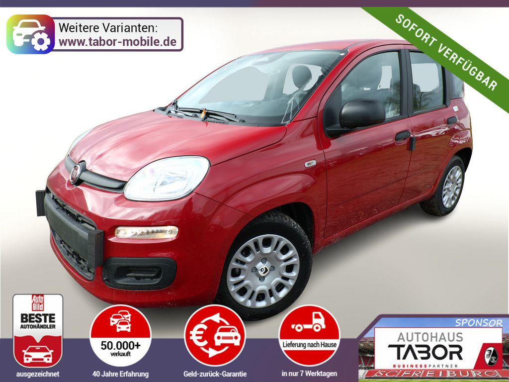 Image of Fiat Panda