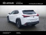 Lexus UX 300h F-Sport Design 15 Jahre Relax Garantie - weiße Lexus UX