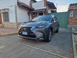 Lexus NX 300 hybrid 2.5 155CV AUTOMATICA, Teleca - Lexus Gebrauchtwagen von 2017