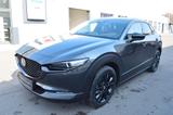 Mazda CX-30 e-SKYACTIV X M-Hybrid 186 Nagisa *Leder+LE - Mazda CX-30 Nagisa mit Benzin-Antrieb