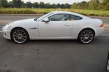 Jaguar XK Coupe /  5.0 V8*3HD*NEUWERTIGER ZUST - Jaguar: 8