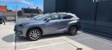 Lexus NX 300h E-FOUR  - Lexus NX-Serie von privat