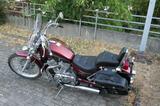 Suzuki VS 800 GL Intruder VS52B  TÜV NEU - SUZUKI VS 800 INTRUDER