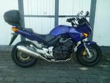 Honda CBF 600 ABS *Tiefer*Service+TÜV neu* - HONDA 2004 CBF600
