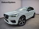 Volvo XC 60 T6 AWD RECHARGE R-DESIGN PANORAMA - Volvo XC60 Recharge Gebrauchtwagen