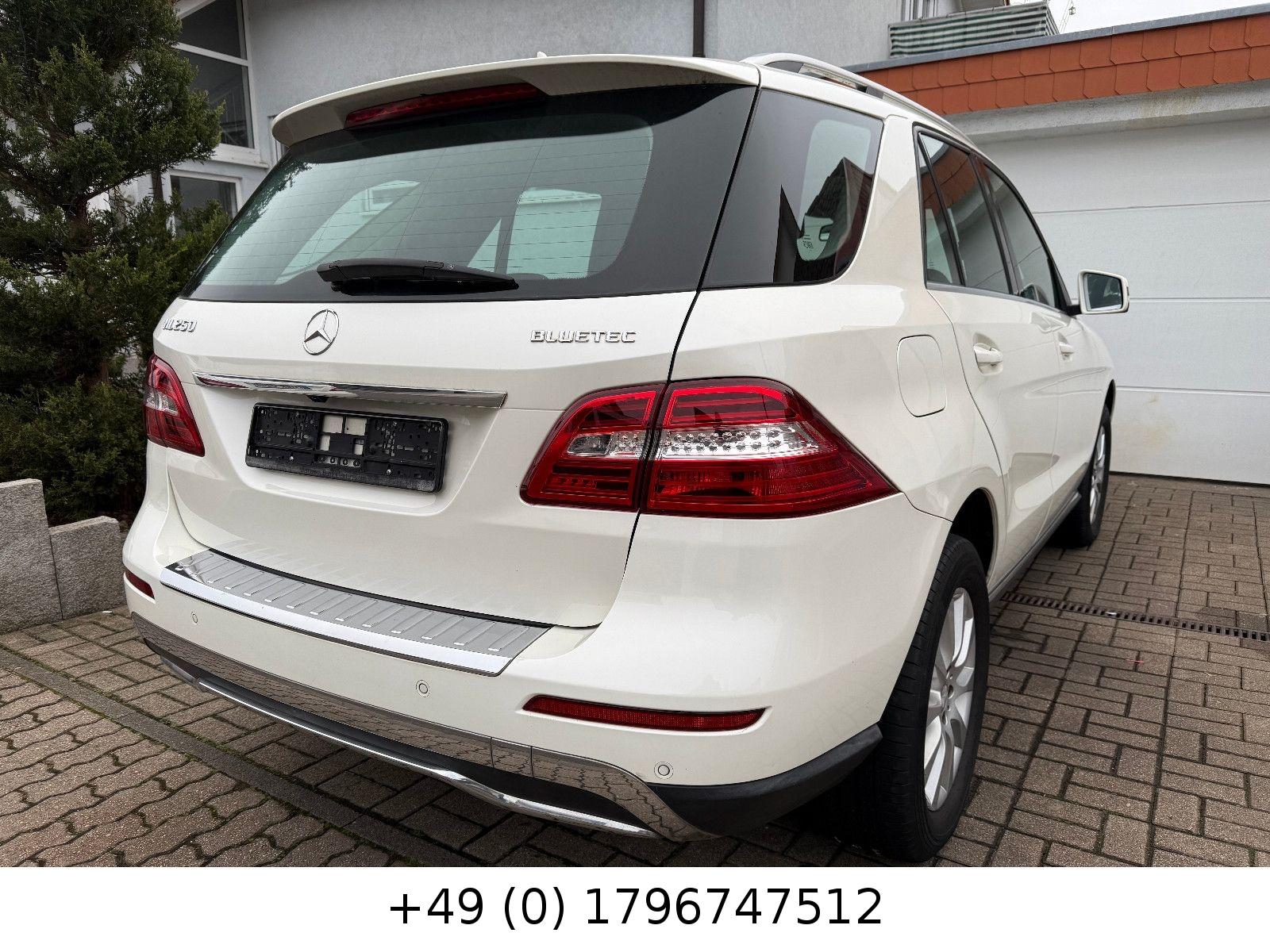 Mercedes-Benz ML 250 ML   4 Matic Kamera