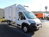 Peugeot BOXER KÜHLKOFFER 0C 8 PALETTEN TEMPOMAT LED - Peugeot Doppelkabine