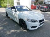 BMW 218 Baureihe 2 Cabrio 218 d Advantage M Lenkrad - mit Diesel-Antrieb: Weiß, Cabrio