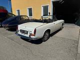 Fiat 1500 Cabrio - Fiat: 1500