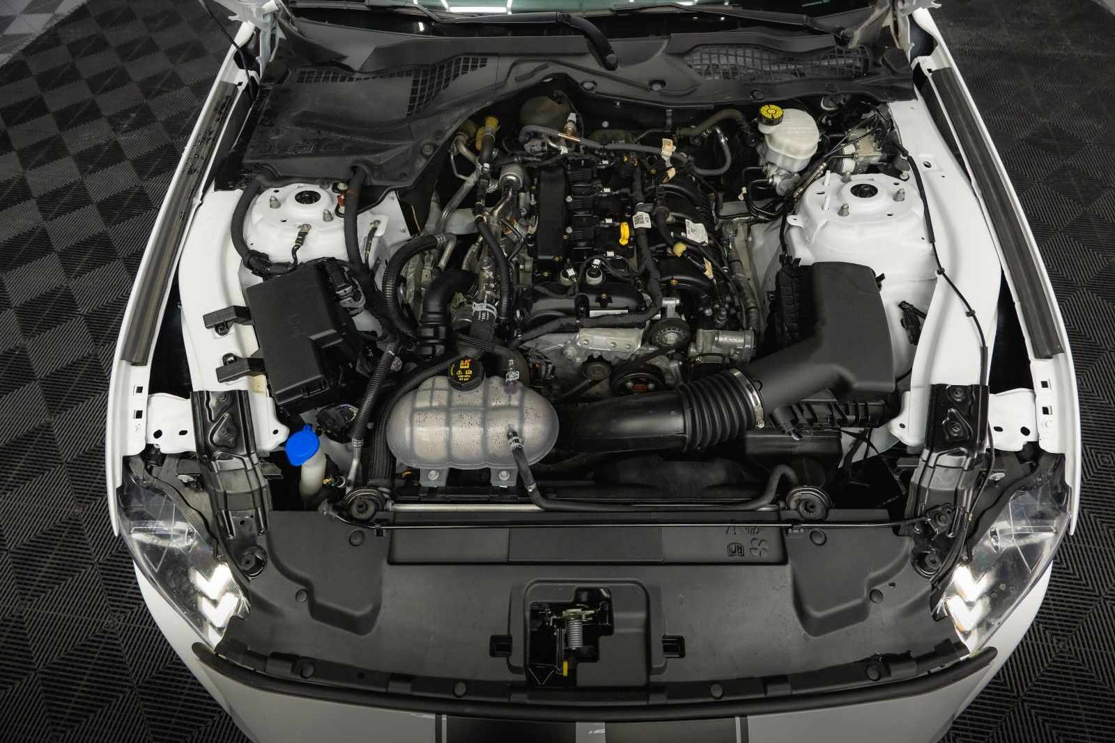Fahrzeugabbildung Ford Mustang Shelby GT 500 Coupe Performance PREMIUM