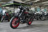 Kawasaki Z 650 RS, Modell 2026, 4 JAHREN WERKSGARANTIE - Angebote