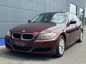 BMW 316 - 1