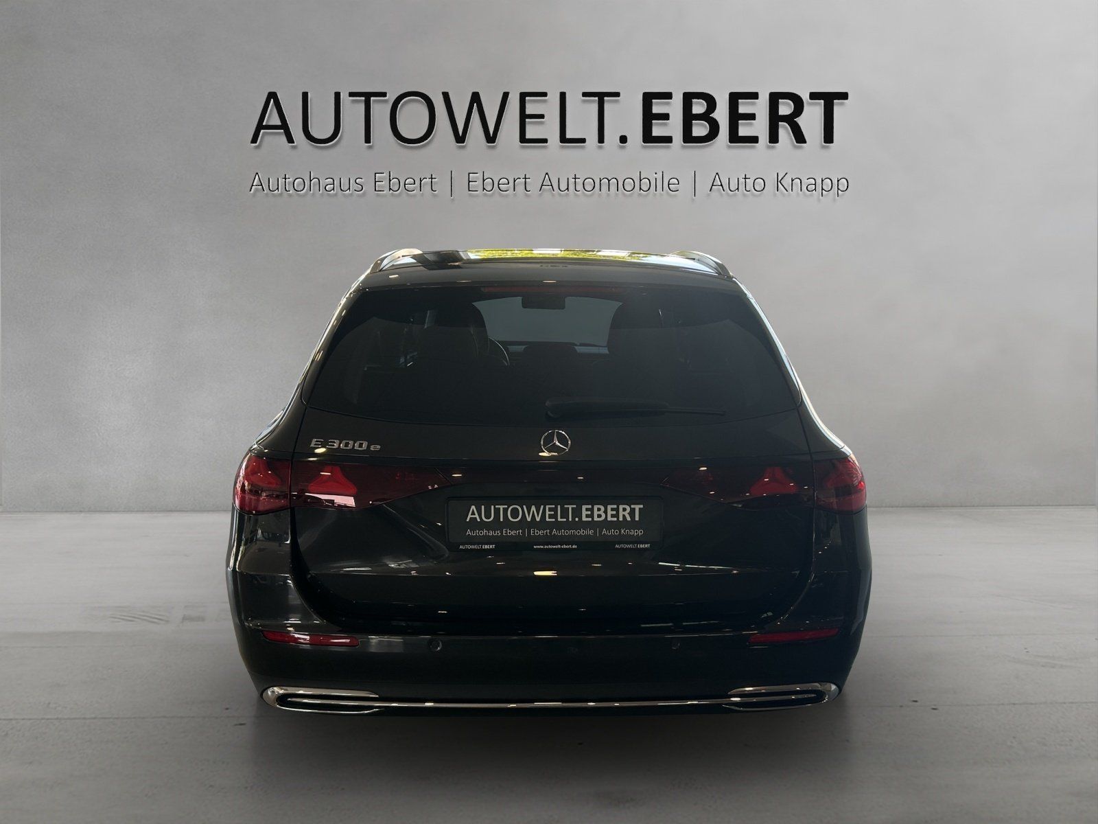Fahrzeugabbildung Mercedes-Benz E 300e T Avantg Advanced DISTRO Burme LED Kamera