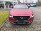 Mazda CX-30 2.0 SKYACTIV-X M-Hybrid AWD Selection - Mazda CX-30 aus 2019
