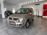 Fiat Panda 1.3 JTD Cross 4X4 *Panorama *AHK *Klima * - Fiat Panda Gebrauchtwagen in Dortmund