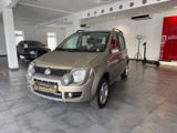 Fiat Panda 1.3 JTD Cross 4X4 *Panorama *AHK *Klima * - Fiat Panda aus 2008