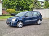 Ford Fusion Style*Wenig km*Klima*Allwetterreifen - Ford Fusion: Kleinwagen