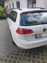 Volkswagen Golf 1.4 TGI DSG Comfortl. BlueMotion Varian... - Volkswagen Golf mit CNG-Antrieb: Kombi
