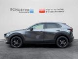 Mazda CX-30 Nagisa Skyactiv-X 186 LED/Navi/Bose/Head-u - Mazda CX-30 SUV
