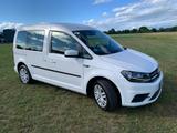 Volkswagen Caddy 1,4TSI 96kW  Trendl.5-Sitz oder Minicamper - Volkswagen Caddy: 9k