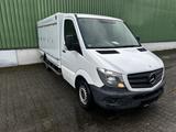 Mercedes-Benz Sprinter 313 CDI/ Carlsen*5+5*ICE*-40 Grad * - Mercedes-Benz Koffer C4 sprinter 313