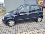 Fiat Panda - Fiat Panda: Blau