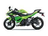 Kawasaki Ninja 500 SE Grün Modell 2025 sofort lieferbar - KAWASAKI NINJA 500