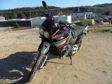 Yamaha XTZ 750 Super Ténéré technisch neu - Offers matching your search criteria
