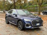 Audi Q5 TDI 204 CV quattro S tronic line IN ARRI - Hybrid (Diesel/Elektro): Kleinwagen