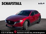 Mazda CX-30 Homura e-SKYACTIV-X  2.0 Automatik Head UP - Mazda CX-30 Homura mit Benzin-Antrieb